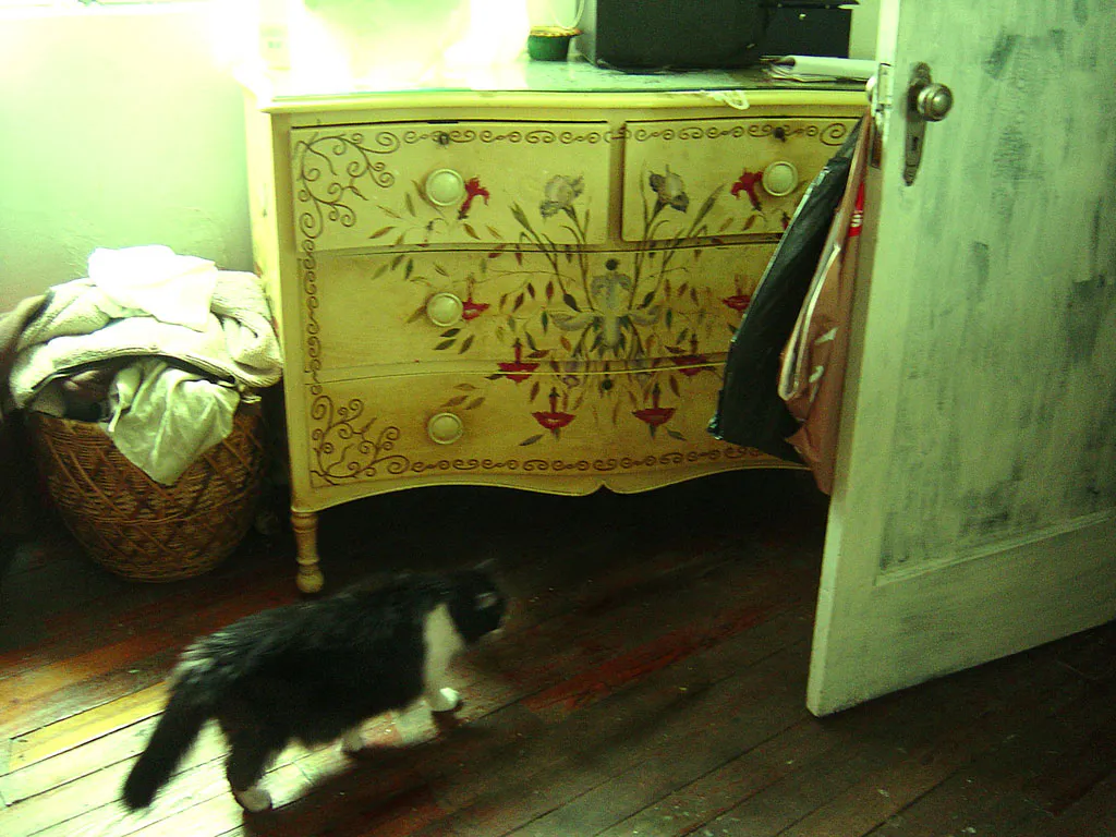 <p>Saca ese gato de la habitación</p>
