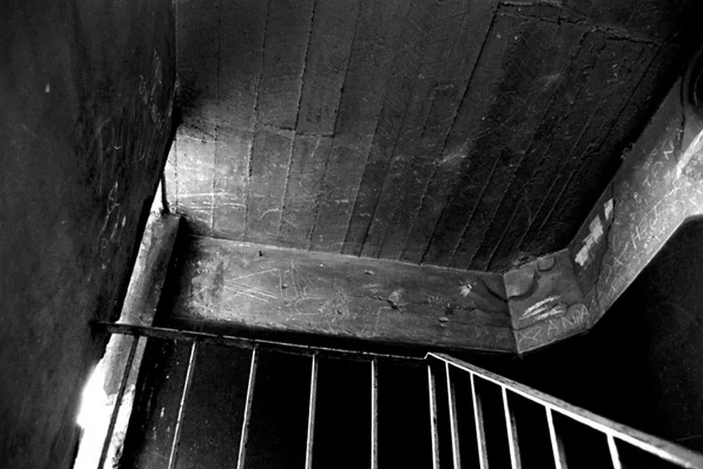 <p>De la serie: Down the Middle</p>
