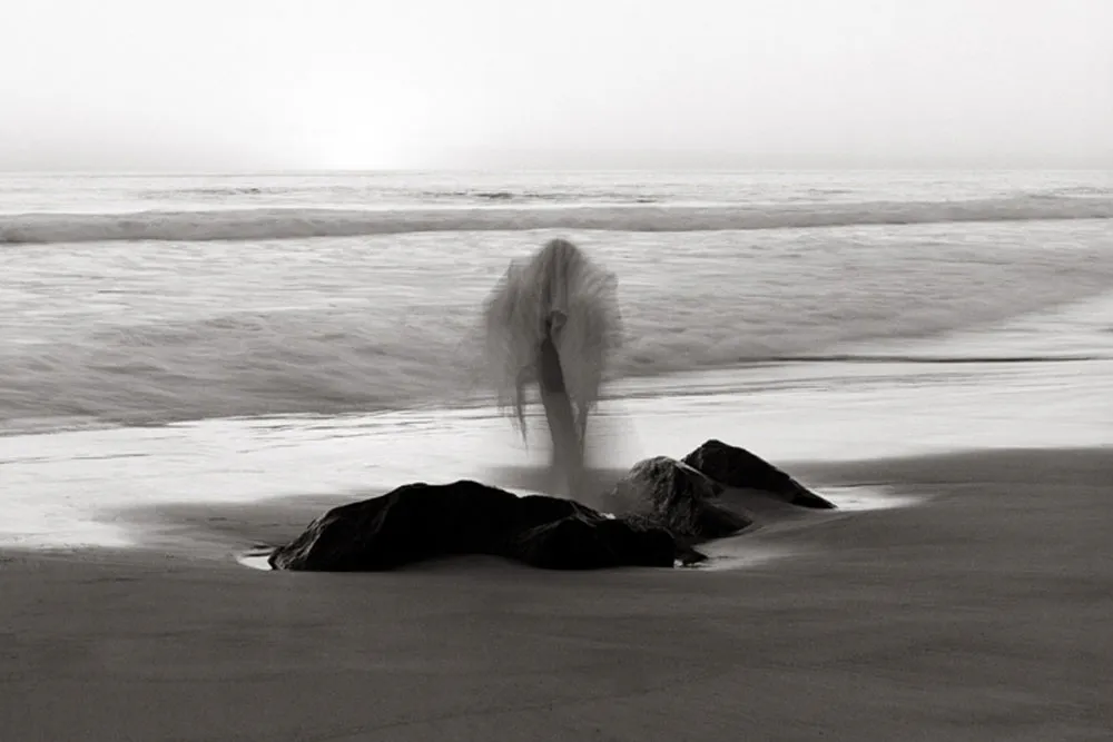 <p>Desprendimiento</p>
