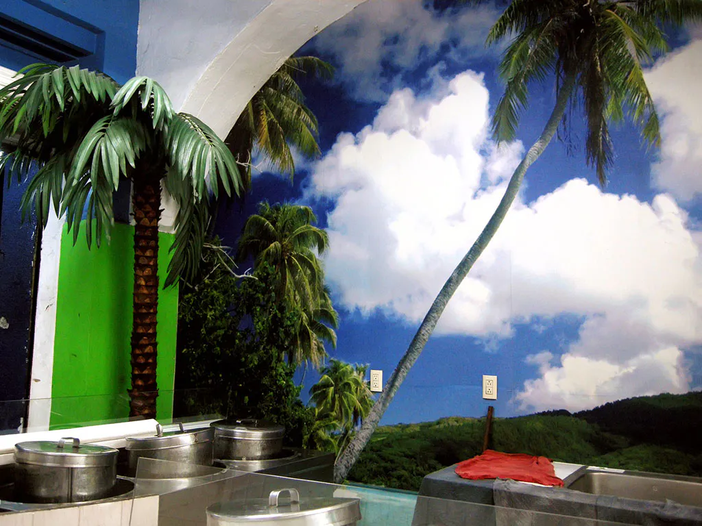 <p>Palmeras con cielo azul | Veracruz, Ver. | 2008</p>
