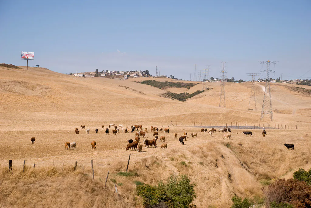 <p>Tijuana (proyecto en proceso) | Fotografía digital</p>
