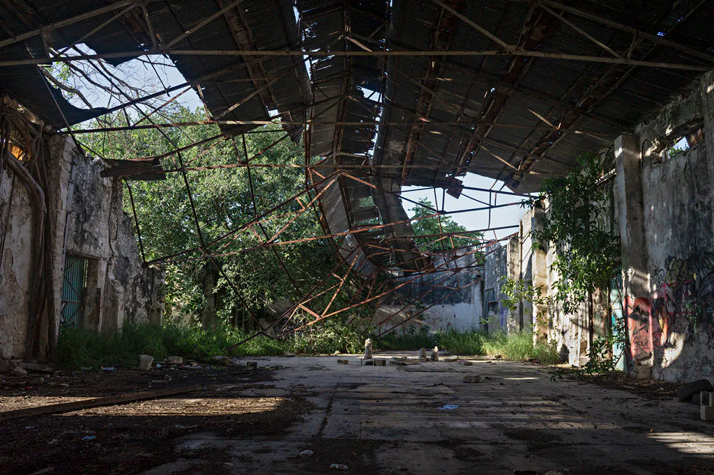 <p>Testigos I / Serie: A La Plancha / 2022</p>
