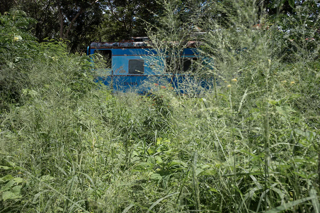 <p>Serie: A La Plancha / 2022</p>
