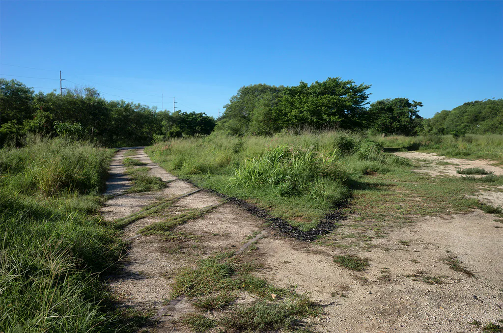 <p>Serie: A La Plancha / 2022</p>
