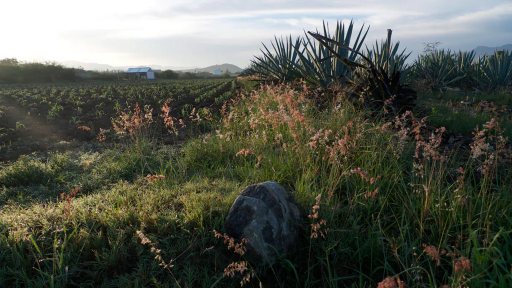 <p>De la serie: Al borde | fotografía digital | 2013</p>
