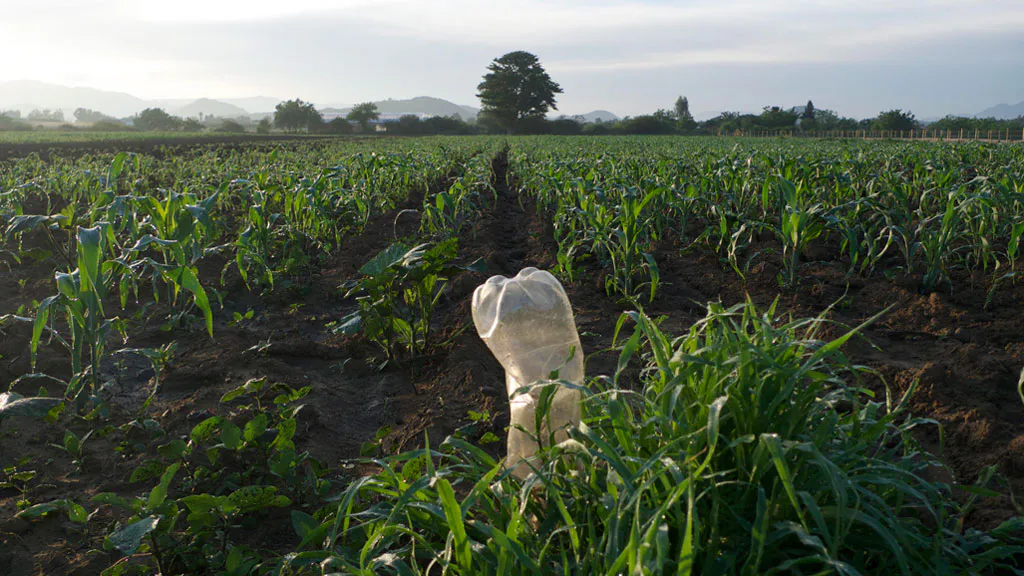 <p>De la serie: Al borde | fotografía digital | 2013</p>
