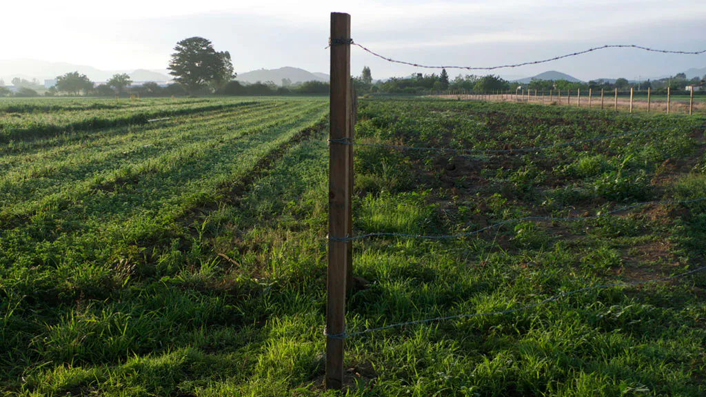 <p>De la serie: Al borde | fotografía digital | 2013</p>
