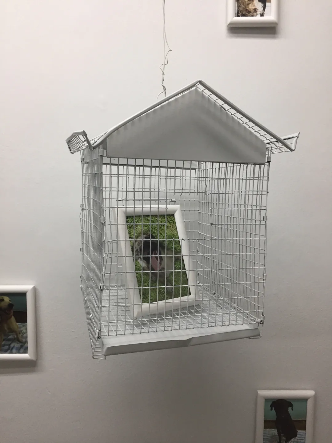 <p>Estadística II | 2016 | Instalación escultórica/ obra procesual | Fotografías, marcos, collares y jaula de pájaros | 205.74 x 238.76 x 50.8 cm.</p>
