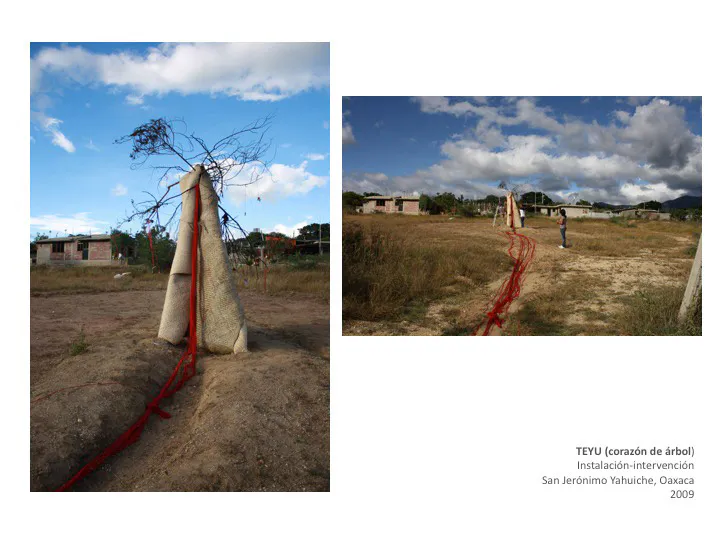 <p>TEYU - Corazón de árbol | Instalación - Intervención | San Jerónimo Yahuiche, Oaxaca | 2009</p>
