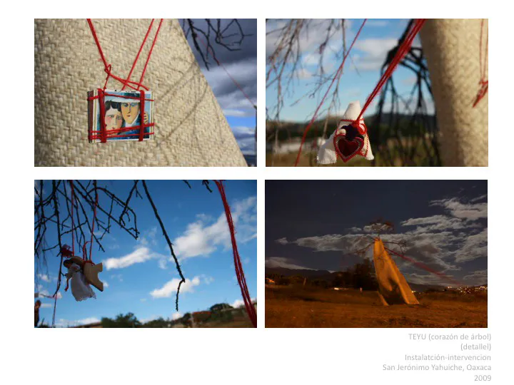 <p>TEYU - Corazón de árbol (detalle) | Instalación - Intervención | San Jerónimo Yahuiche, Oaxaca | 2009</p>
