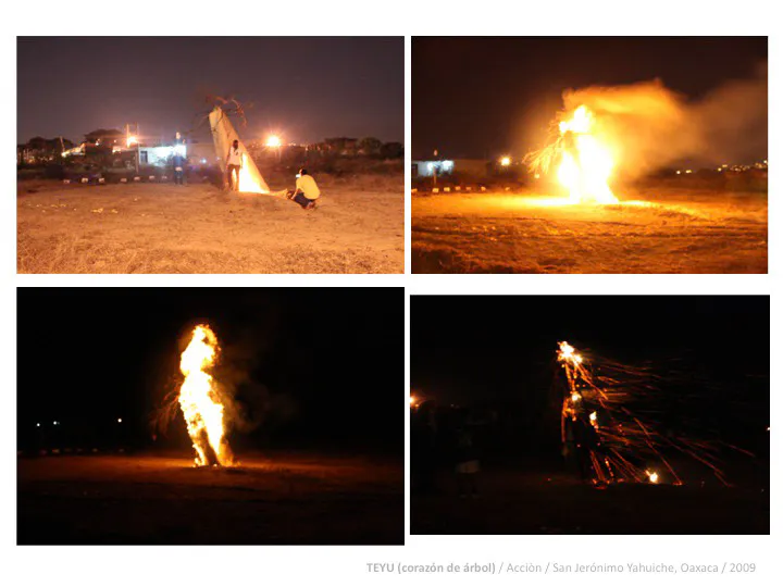 <p>TEYU - Corazón de árbol (detalle) | Acción | San Jerónimo Yahuiche, Oaxaca | 2009</p>
