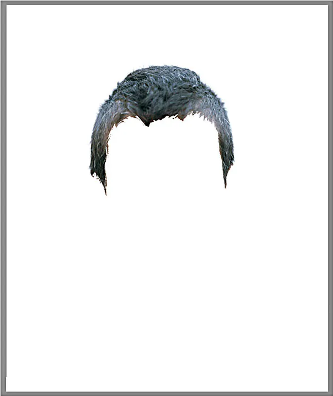 <p>Estereotipos I. De la serie Atlas. Estrategias alegóricas para un anatomista | políptico de 18 piezas de 61x51cm c/u | impresión ultrachrome k3 | 2007</p>
