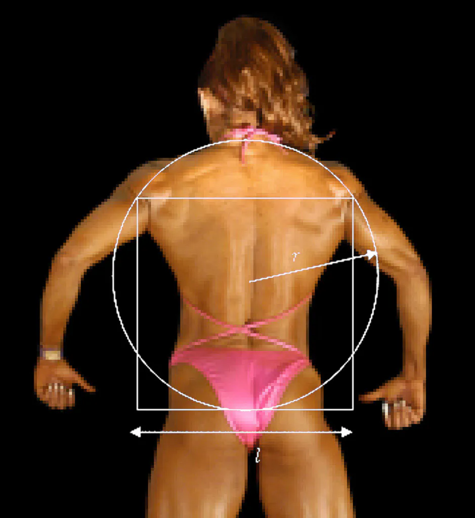 <p>Doble biceps 1 de frente | impresión digital ultrachrome | 120x110 cm | 2006</p>
