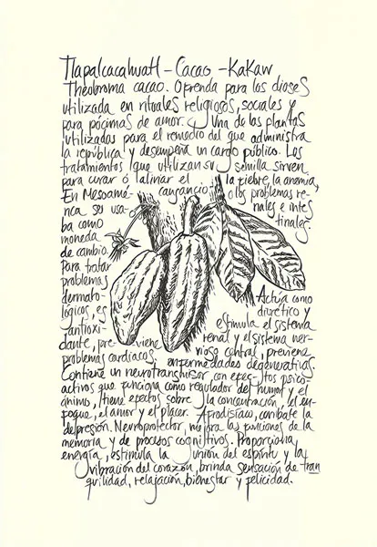 <p>Tlapalcacahuatl | 2021 | Tinta sobre papel |44x30.5cm</p>
