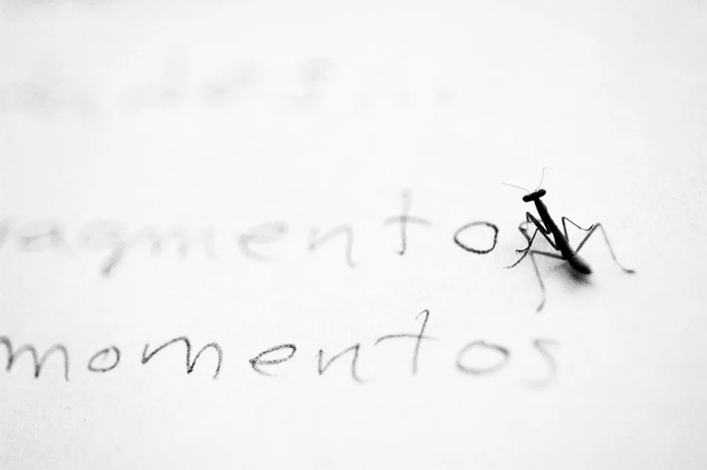 <p>De la serie I and I</p>
