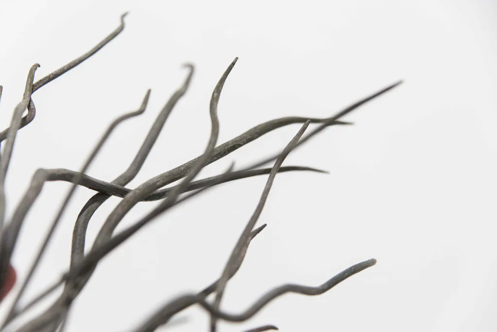 <p>Tillandsia | 2012 | Redondo de fierro forjado</p>
