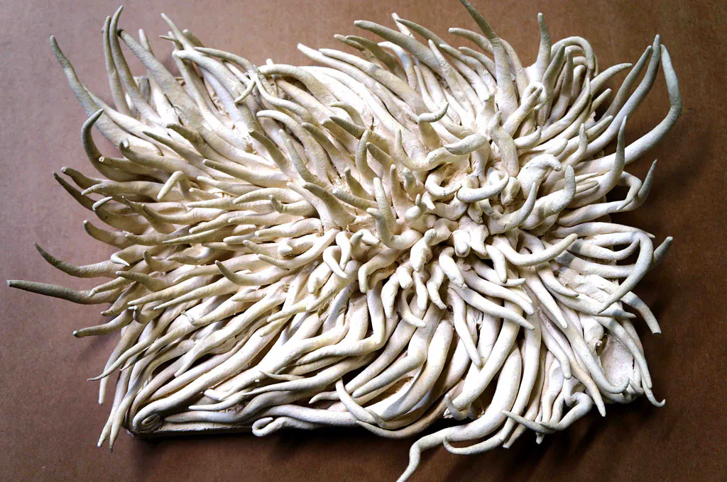 <p>Varias obras en barro papel | 2012</p>
