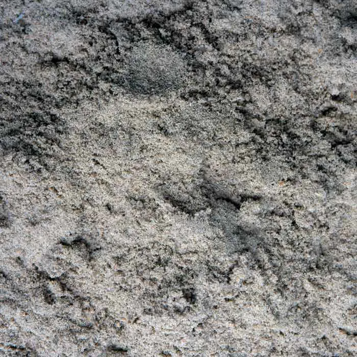 <p>Arce, Israel. Sebastián Silva</p>
