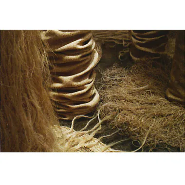 <p>De la serie: Canales | 2009</p>
