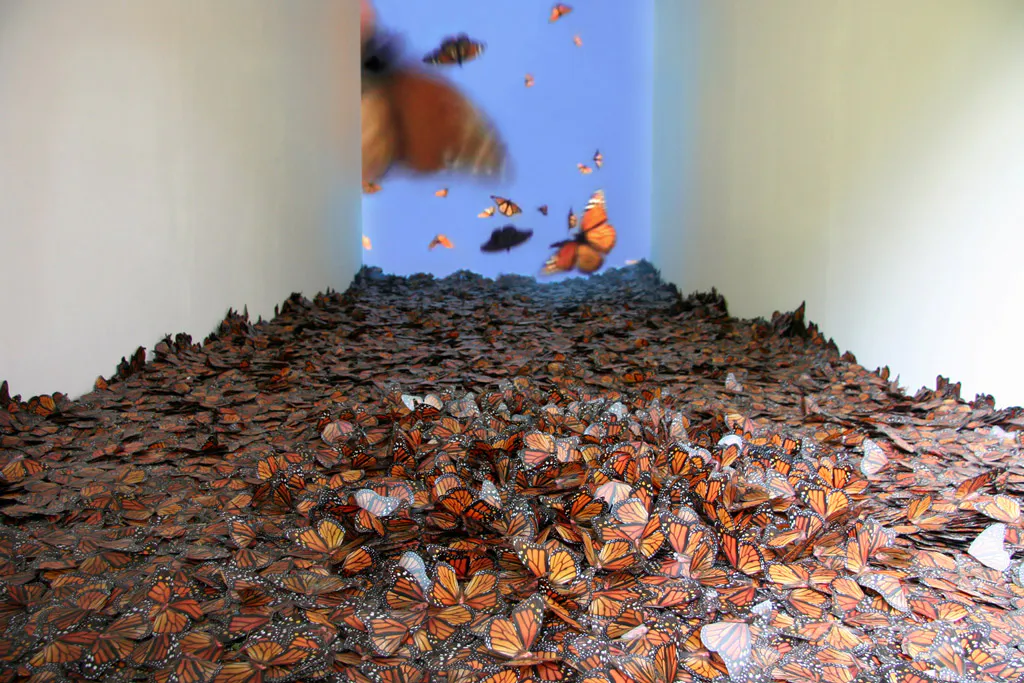 <p>Eros-Thanatos | Instalación</p>
