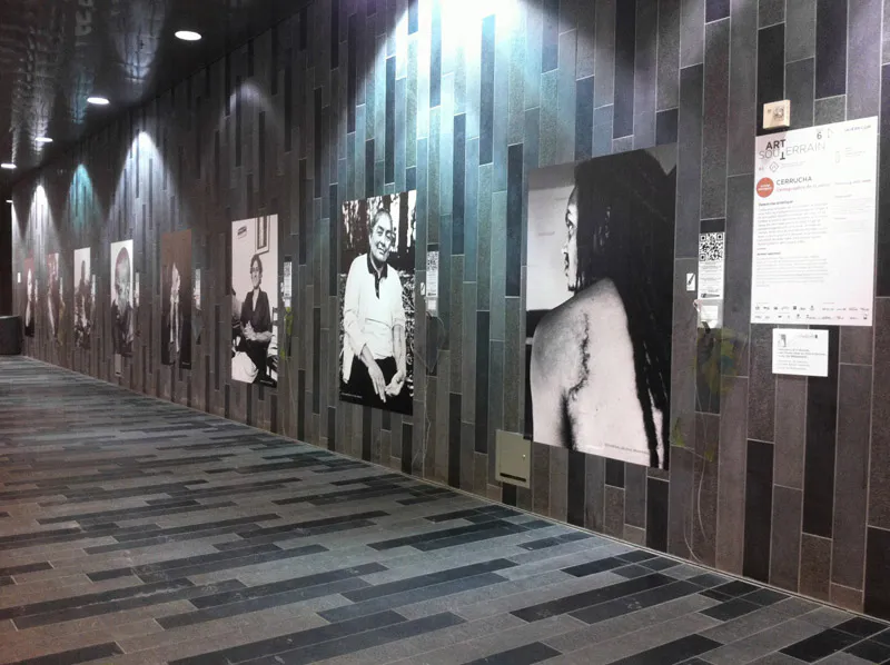 <p>Cartografiando la Piel | 2014</p>
