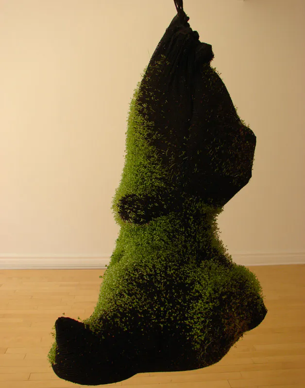 <p>Huella | Instalación 5 módulos, tela, material orgánico | 2009</p>
