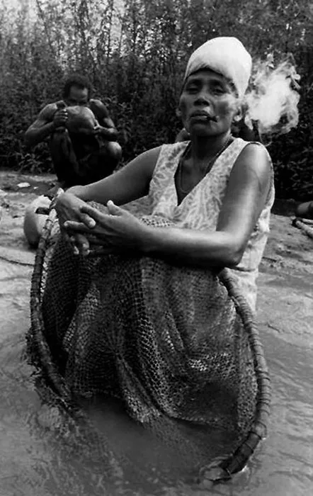 <p>De la serie: Tierra negra</p>
