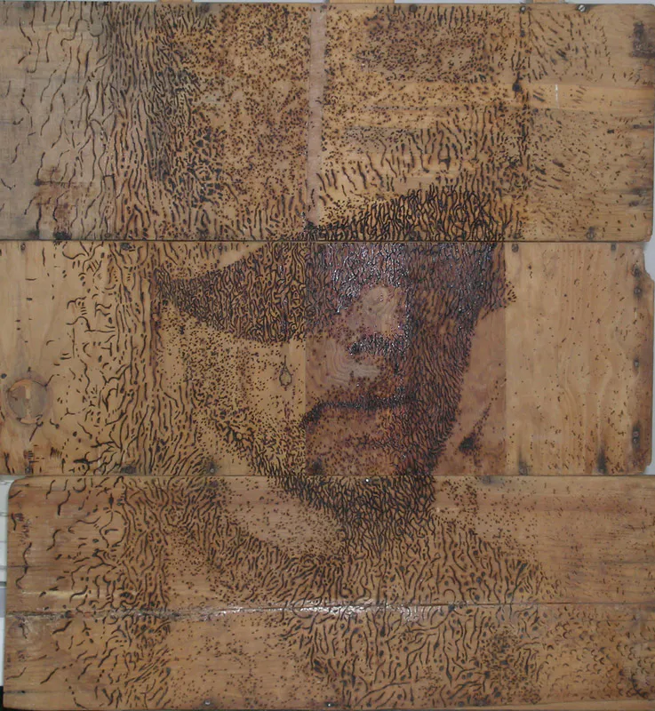 <p>Retrato sin nombre | Impresión en madera reciclada y papel | 2011</p>
