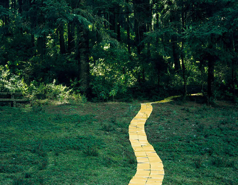 <p>Yellow brick | 2008 | Impresión cromogénica. Ed. de 10 | C - print</p>
