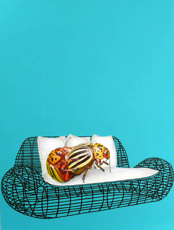 <p>Coleópteros enamorados</p>
