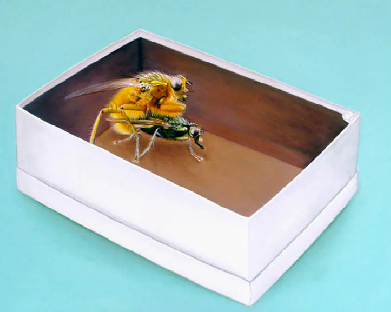 <p>Excitación sobre caja de Orozco | Acrílico y óleo/tela | 80x100 cm |2009</p>
