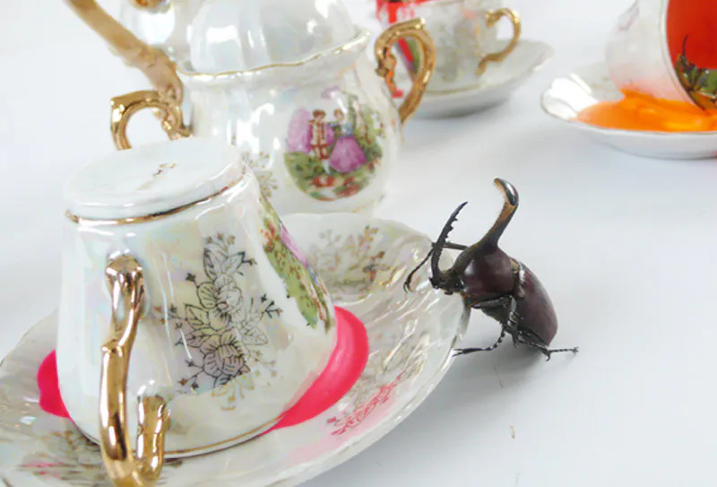 <p>Dibujos a lápiz, plumón, pastel e impresiones a color en acetato/papel 18 x 24 cm c/u 2012</p>
