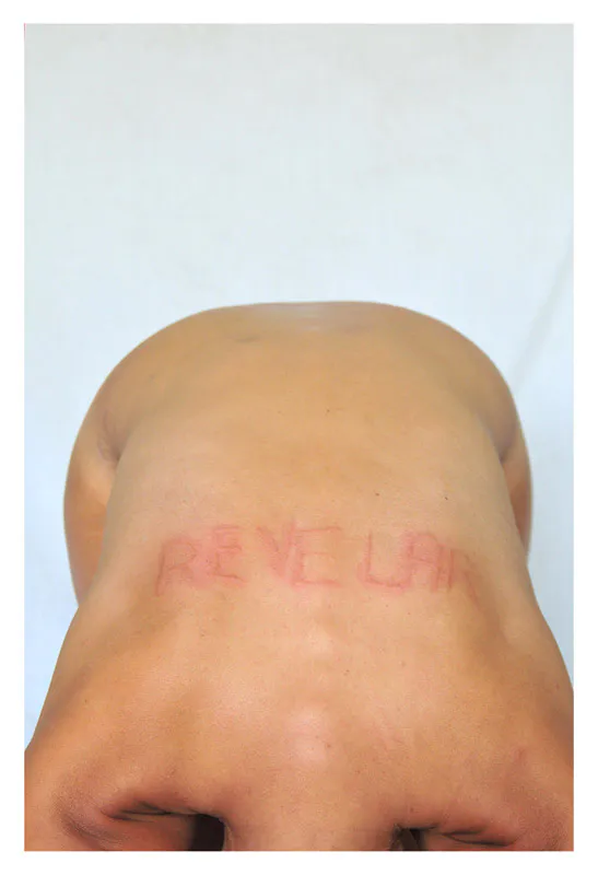 <p>Impresión digital Lambda sobre papel fotográfico mate | 11 fotografías de 70 x 48 cm. / 9 fotografías de 35 x 50 cm. / 1 fotografía de 70 x 100 cm | 2012</p>
