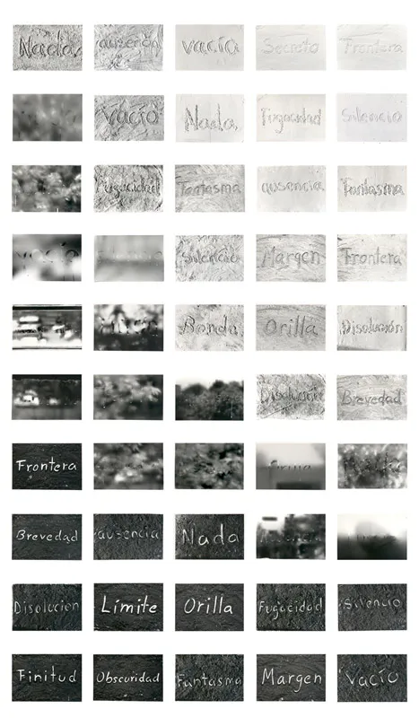 <p>2009-2010 | 50 postales de 10 x 15 cm. cada una en plata sobre gelatina impresas manualmente</p>
