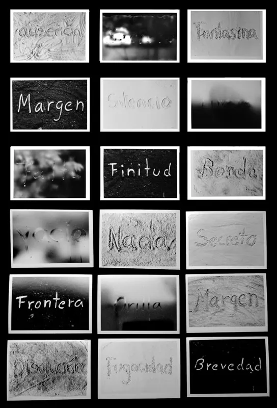 <p>2009-2010 | 50 postales de 10 x 15 cm. cada una en plata sobre gelatina impresas manualmente</p>
