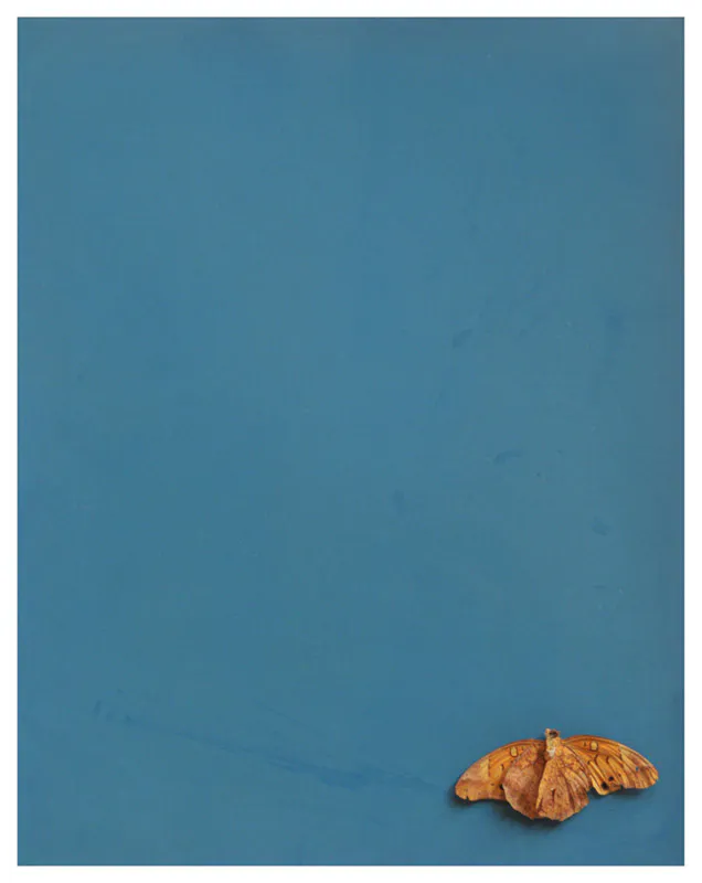 <p>2009-2010 | 50 postales de 10 x 15 cm. cada una en plata sobre gelatina impresas manualmente</p>
