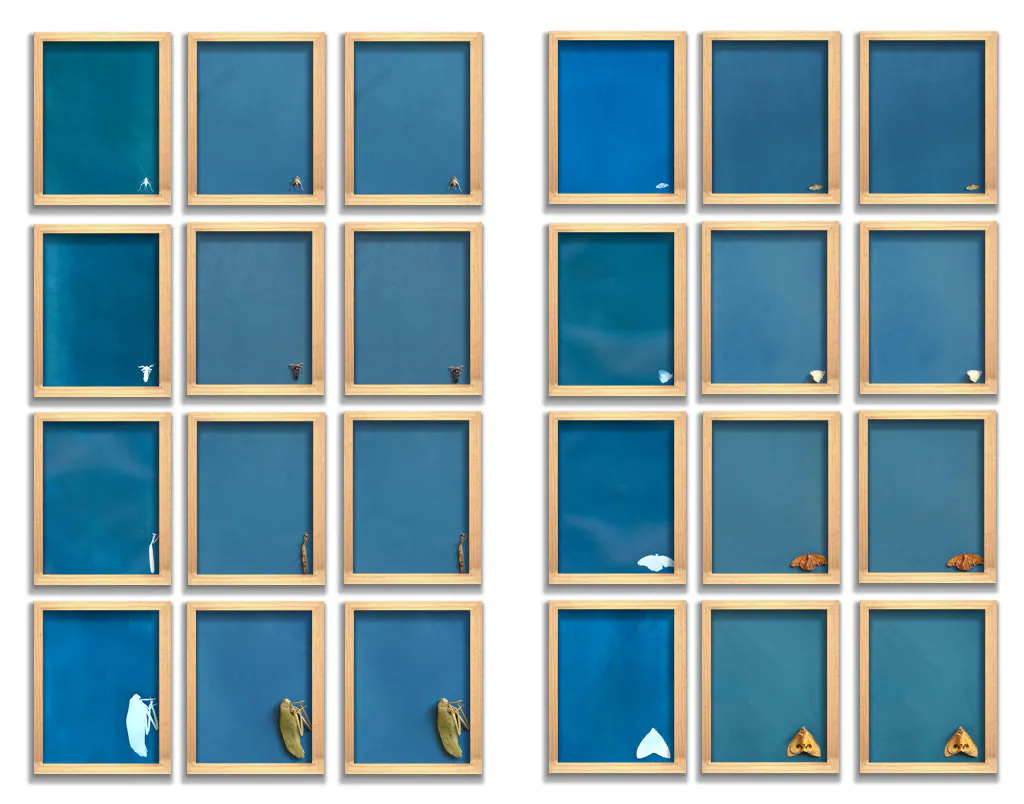 <p>2009-2010 | 50 postales de 10 x 15 cm. cada una en plata sobre gelatina impresas manualmente</p>
