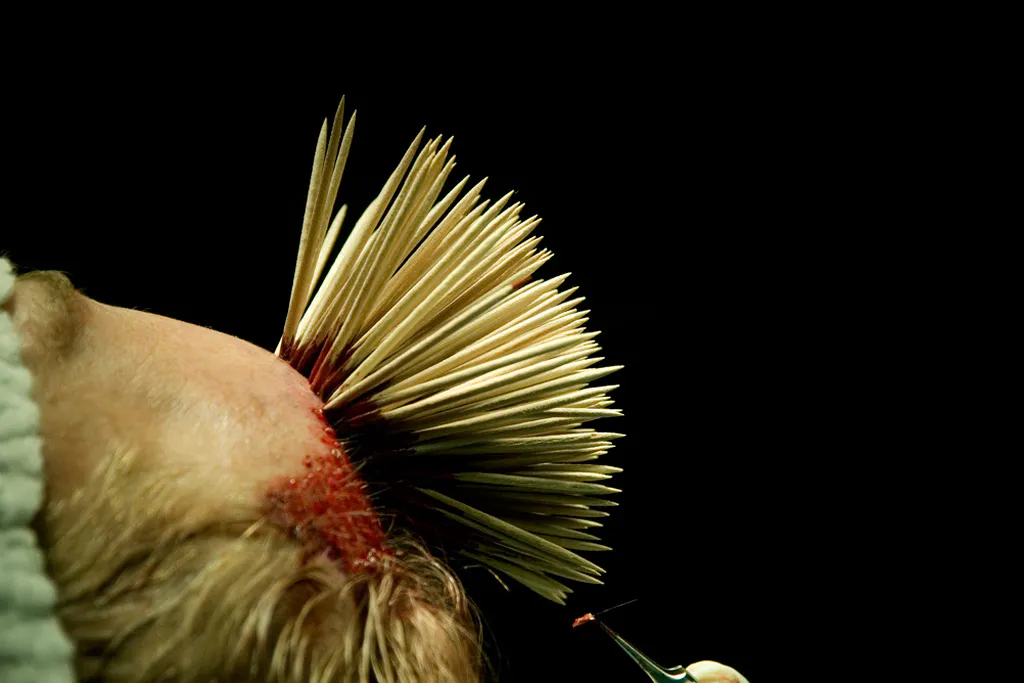 <p>Geografías Ocultas | Serie Negra | 2005-200</p>
