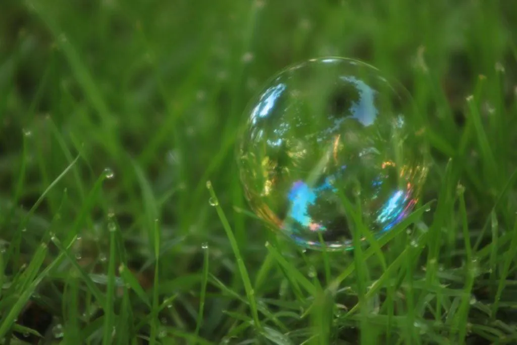 <p>170 x 110 cm | 2010</p>
