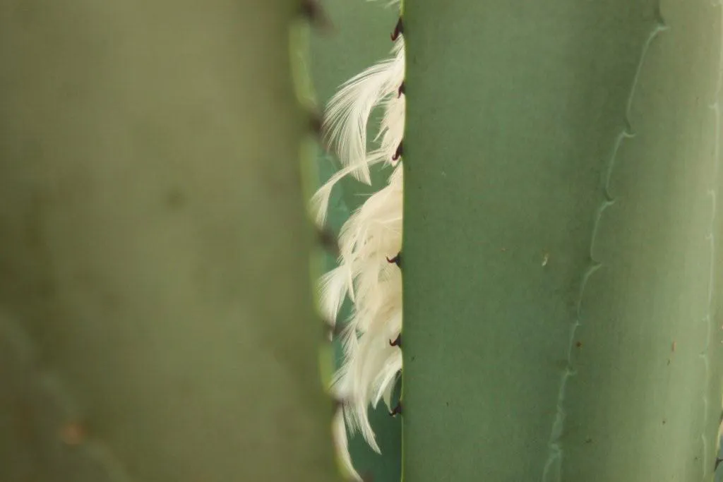 <p>170 x 110 cm | 2010</p>
