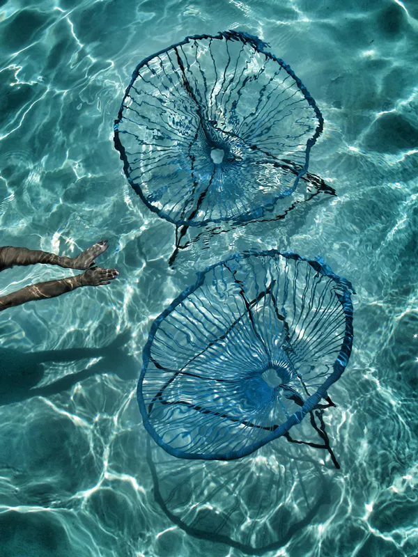 <p>Multidisciplinaria</p>
