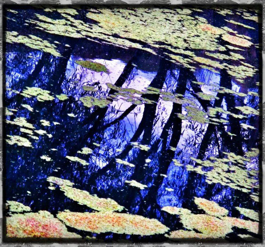 <p>Fotografías impresión cromogénea | 2012</p>
