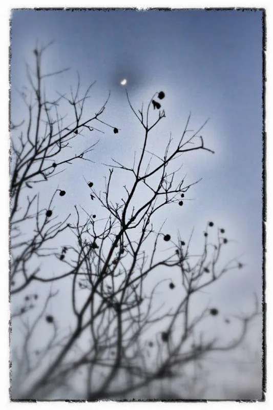 <p>Fotografías impresión cromogénea | 2012</p>
