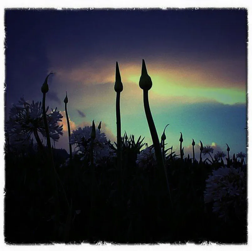 <p>Fotografías impresión cromogénea | 2012</p>
