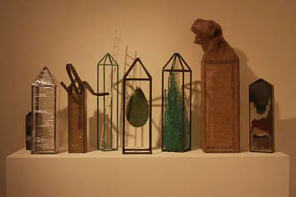 <p>Arqueologia de la Memoria | Ocho piezas. Medidas Variables | Iron, cactus, plastic, copper, glass, natural fibers, brass and soil | 2008 - 2011</p>
