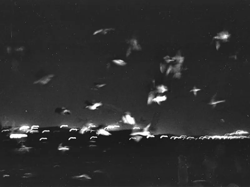 <p>Pájaros en el mar. New Castle, Inglaterra | 1998 | Plata sobre gelatina | 21.5x24.5cm</p>
