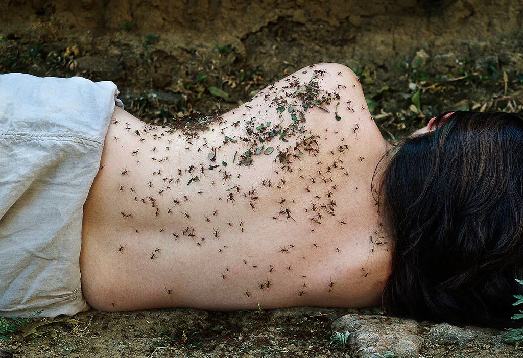 <p>De la serie: Acciones para recordar | Fotografía digital</p>
