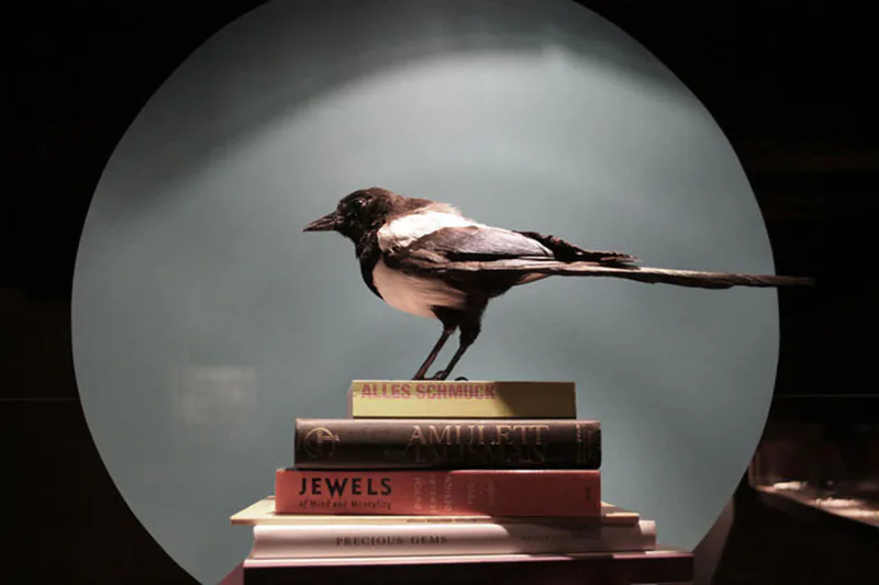 <p>Pájaro y libros</p>
