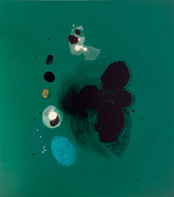 <p>Trébol, 2023 | Acrílico / tela | 175 x 155 cm</p>
