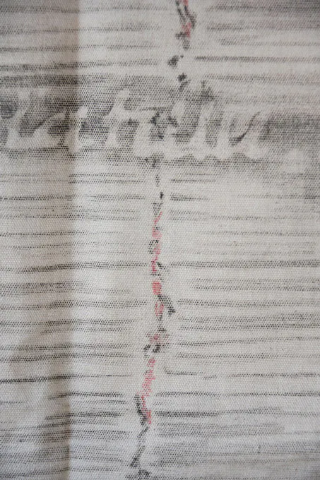 <p>Bejuco | .80 m x .62m | Graphite and colored pencils over cotton | Ximena Labra 2023</p>
